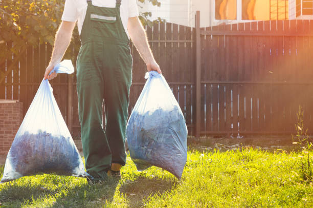 Best Hoarding Cleanup  in Sevierville, TN