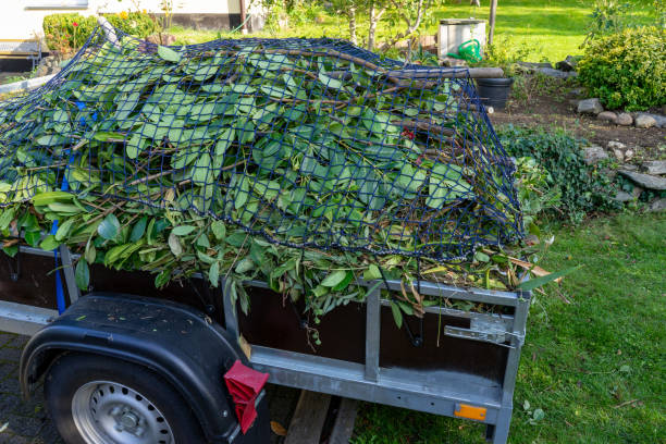 Best Retail Junk Removal  in Sevierville, TN